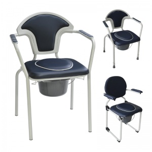 Caraibes toilet chair