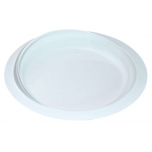 Plate with raised edges