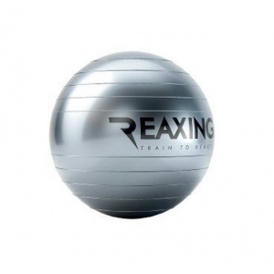 EXERCISE BALL REAX BALANCE BALL 65 cm